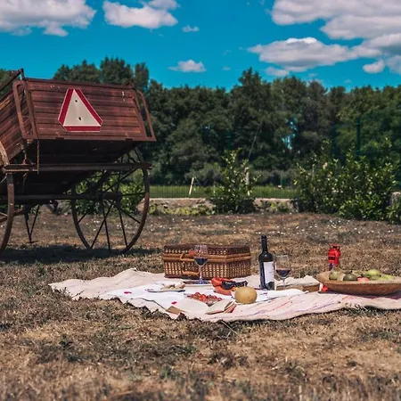 Arca Dos Animais - Farming & Lantställe