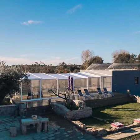 Arca Dos Animais - Farming & * Castelo Branco (Centro)