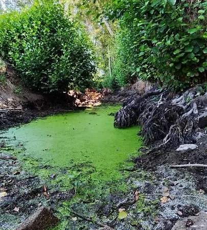 Arca Dos Animais - Farming & Kır Evi *