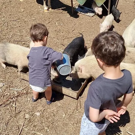 Arca Dos Animais - Farming & Lantställe *