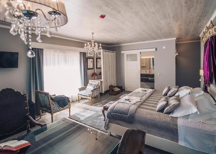 Arca Dos Animais - Farming & * Castelo Branco (Centro)