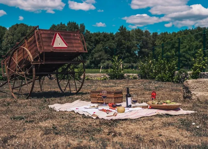 Arca Dos Animais - Farming & Casa di campagna