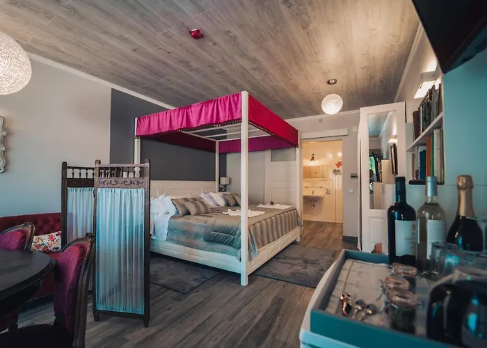 Arca Dos Animais - Farming & Castelo Branco (Centro)