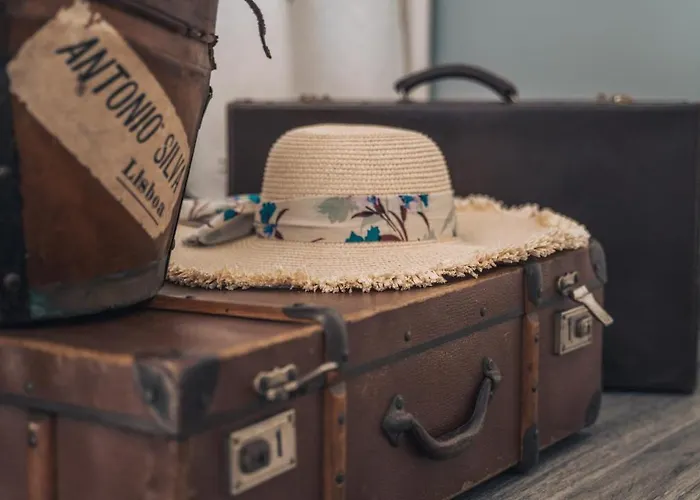 Arca Dos Animais - Farming & * Castelo Branco (Centro)