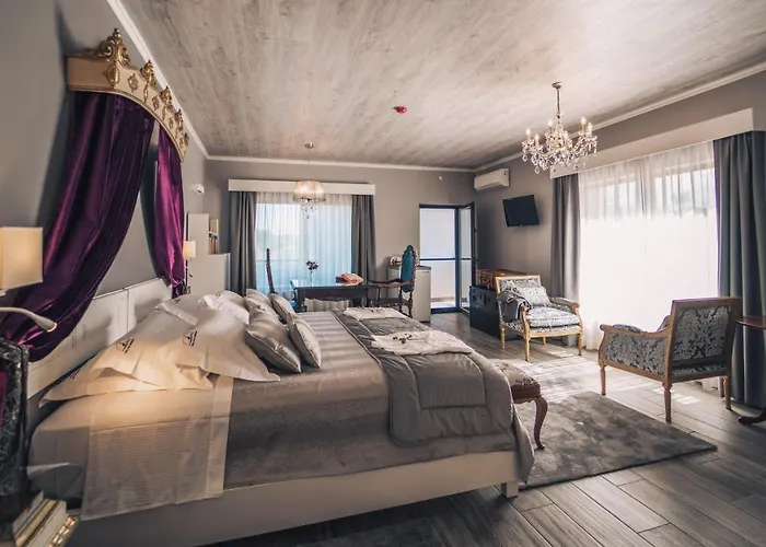 Arca Dos Animais - Farming & Castelo Branco (Centro)