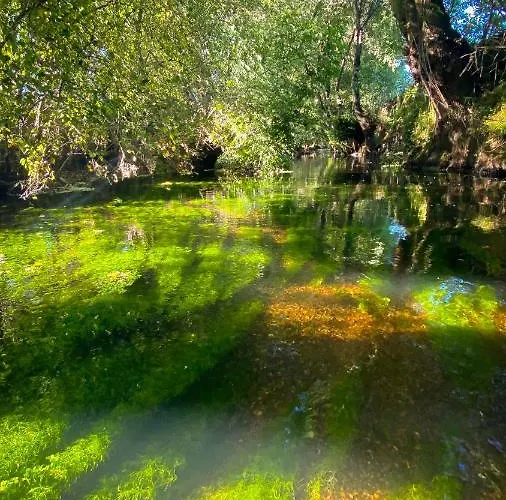 Gospodarstwo wiejskie Arca Dos Animais - Farming & *