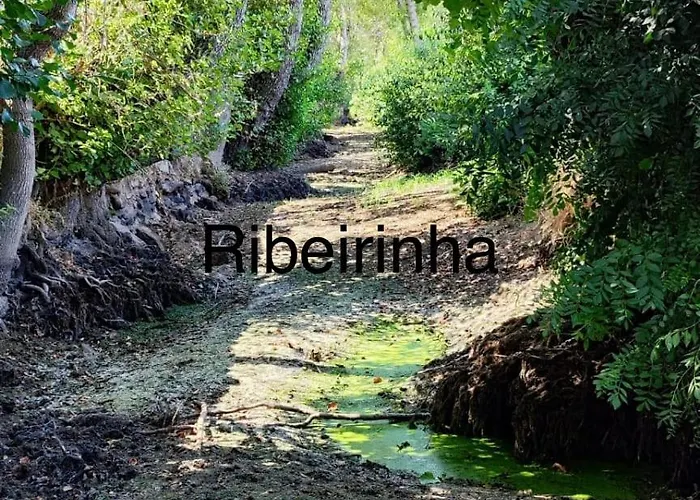 Arca Dos Animais - Farming & Casa di campagna *