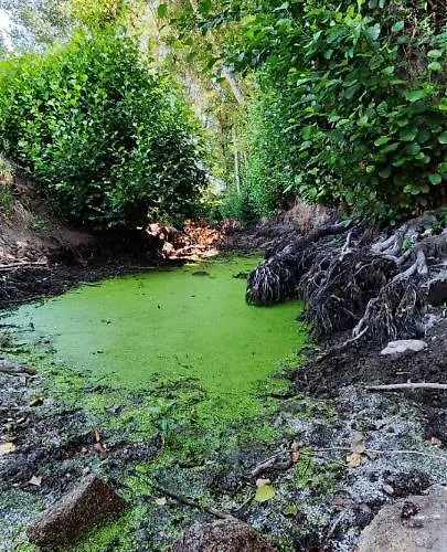 Arca Dos Animais - Farming & Gospodarstwo wiejskie *