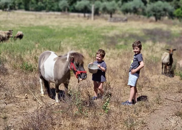 Arca Dos Animais - Farming & * Castelo Branco (Centro)
