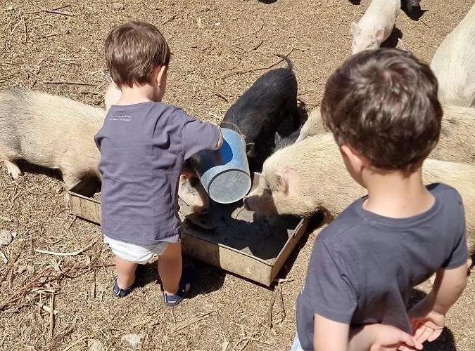 Arca Dos Animais - Farming & Casa di campagna *